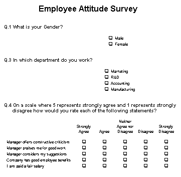 Questionnaire Form 